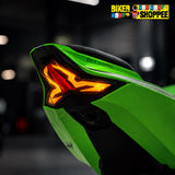 KAWASAKI NINJA ZX10R INTEGRATED LED TAIL LIGHT | BIKER SHOPPEE