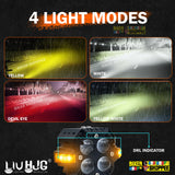 LIU HJG S65 Arachnid 4 lens motorcycle fog lights 80W yellow white beam with red devil eye original Biker Shoppee